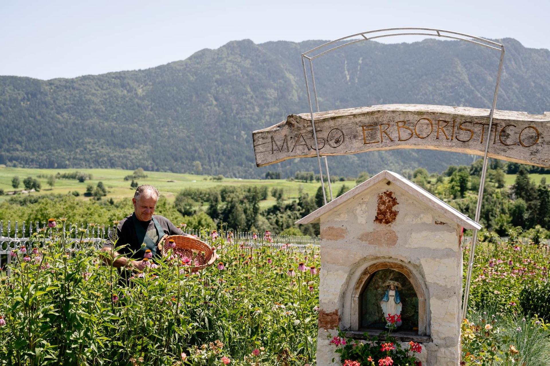 Agritur Maso Alle Rose B&B E Restaurant Balbido-rango Exteriér fotografie